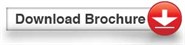 Download Button